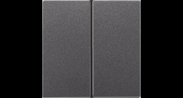 Jung LS-bereik Bedieningselement/Centrale Plaat schakelkast - AL2995AN - E29ZN