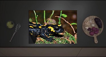 Inductie Beschermer - Close-up van Vuur Salamander tussen Groene Planten - 70x52 cm - 2 mm Dik - Inductieplaat Beschermer met zwarte kern