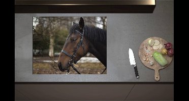 Inductieplaat Beschermer - Bruin paard met halster om buiten - 70x55 cm - 2 mm Dik - Inductie Beschermer - Bescherming Inductiekookplaat - Kookplaat Beschermer van Wit Vinyl