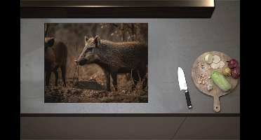 Inductieplaat Beschermer - Bruine zwijnen in een bos omgeving - 71x55 cm - 2 mm Dik - Inductie Beschermer - Bescherming Inductiekookplaat - Kookplaat Beschermer van Zwart Vinyl