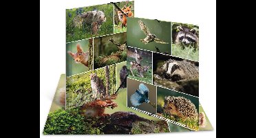 Elastomappen A4 Karton bos dieren