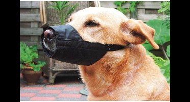 Beeztees Veiligheidsmuilband - Hond - L-Large - 19,5 cm