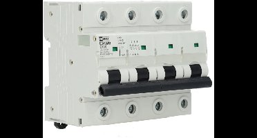 EMAT installatieautomaat 4P C100 (85004074)