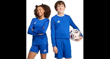 adidas T-shirt Kinderen Entrada 26 Long Sleeve Jersey Blauw - Maat 164cm