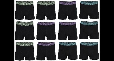Apollo 12-pack: Uni Black - maat M
