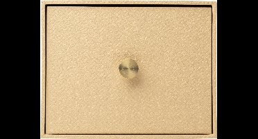 Exacompta 2x Fotodoos met lade OfficeByMe - Beige - 78602E