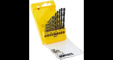 DT5912QZ | Boorset | HSS | 13-delig
