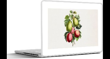 Laptop sticker - 10.1 inch - Eten - Vijgen - Gezond - 25x18cm - Laptopstickers - Laptop skin - Cover