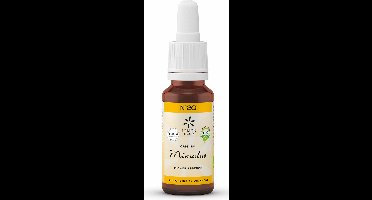 Bach Bloesem Mimulus bio 20 Milliliter
