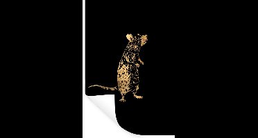 Muurstickers - Sticker Folie - Dier - Rat - Goud - Afbeelding - 20x30 cm - Plakfolie - Muurstickers Kinderkamer - Zelfklevend Behang - Zelfklevend behangpapier - Stickerfolie