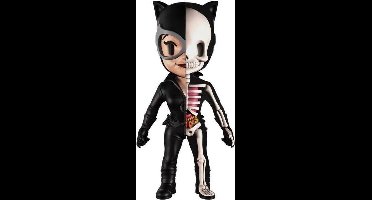 DC Comics  XXRay Figure Catwoman