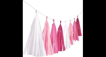 Amscan Tasselslinger 3 Meter Papier Roze/wit