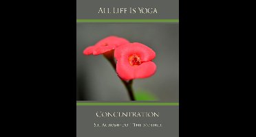 All Life Is Yoga: Concentration