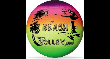 Free And Easy Beachvolleybal Regenboog 22 Cm