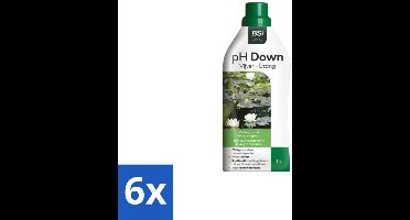 BSI – Aqua pH- – pH Verlager voor Zwembadwater – 1 L - Voordeelverpakking - 6 stuks