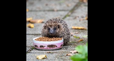 CJ Wildlife - Egelschaal - Getekend door Myrte - Keramiek - Voederschaal