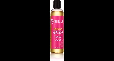 Shampoo en Conditioner Mielle Babassu (240 ml)