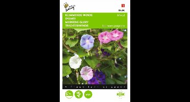 Klimmende winde gemengd - Ipomoea purpurea