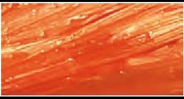 Raffia Folia rol a 30m oranje -