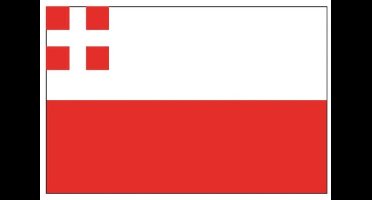 Talamex Utrechtse vlag 20 x 30 cm