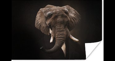 Poster Oude meesters - Olifant - Pak - 30x20 cm