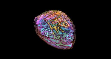 Ian Chang - Belonging (CD)