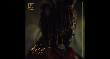 Thundercat - It Is What It Is (CD)