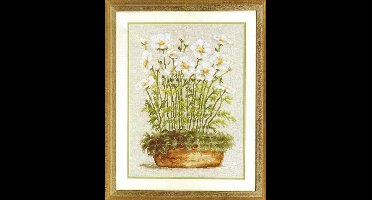 White anemones in bowl Eavenwave Telpakket Vervaco