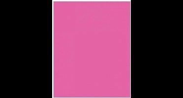 Amscan Enige Plastic Partij Tafelkleed (Helder Roze)