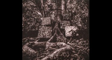 Harmony Of Difference