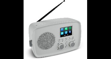 MEDION Internetradio met DAB+ IRE-1 (DAB+, wifi, FM, Bluetooth, spatwaterdicht, telescoopantenne, Spotify Connect, wekker, dimmer) grijs