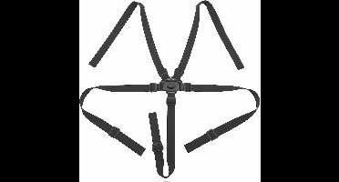 Veiligheidsgordel voor kinderstoel en kinderwagen - Verstelbare 5-puntsgordel in zwart - Hoge stoelriem voor optimale veiligheid - Geschikt voor baby's en kinderen