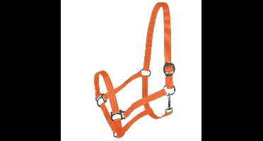 Harmony Nylon Hoofdstel Oranje - Maat Full