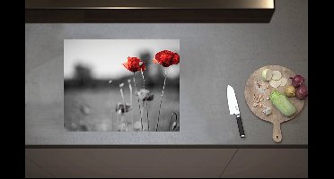 Inductieplaat Beschermer - Rode Bloemen op Zwart-witte Achtergrond - 60x52 cm - 2 mm Dik - Inductie Beschermer van Vinyl