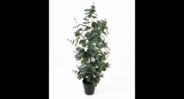 Present Time Kunstplant Eucalyptus Leaf Large - Groen - 30x30x78cm - Modern