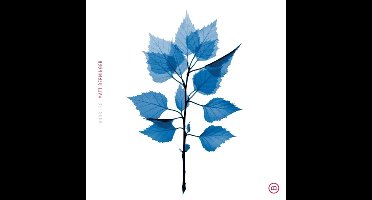 Matt Berninger - Get Sunk (LP)