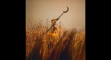 Patrick Wolf - Crying The Neck (CD)