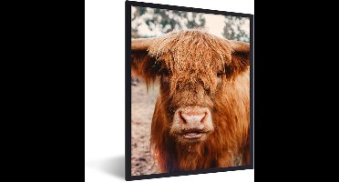 PosterMonkey - Fotolijst - Schotse hooglander - Dieren - Koe - Poster - Poster met kader - Foto in lijst - 60x80 cm - Poster dieren - Poster Schotse hooglander - Wanddecoratie - Posterlijst