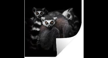 Muurstickers - Sticker Folie - Dieren - Maki - Zwart - Wit - Portret - 30x30 cm - Plakfolie - Muurstickers Kinderkamer - Zelfklevend Behang - Zelfklevend behangpapier - Stickerfolie