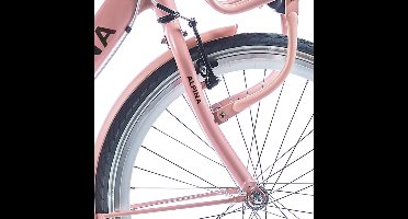Alpina Voorvork 26 Clubb desert pink matt
