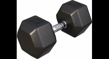 Gorilla Sports Dumbbell - 1 x 25 kg - Gietijzer - Hexagon - Halter