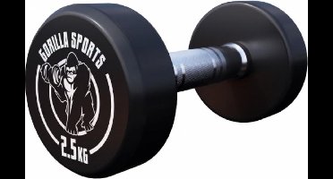Gorilla Sports Dumbbell - 2,5 kg - Halter - Vaste dumbell - Gietijzer