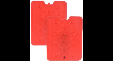 Excellent Houseware Koelelement Ice Pack - 2x - rood - plat - polyethyleen - 900 gram - 32 x 25 x 1 cm - schijf