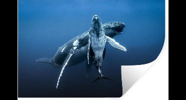 Muurstickers - Sticker Folie - Walvis - Zee - Blauw - 30x20 cm - Plakfolie - Muurstickers Kinderkamer - Zelfklevend Behang - Zelfklevend behangpapier - Stickerfolie