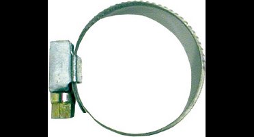 Talen Tools - Slangklem - 25-40 mm