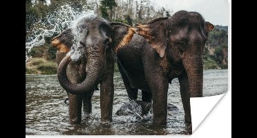 Poster Olifant - Water - Rivier - 30x20 cm