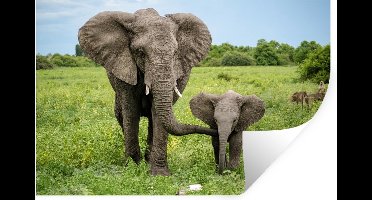 Muurstickers - Sticker Folie - Olifant - Natuur - Park - 30x20 cm - Plakfolie - Muurstickers Kinderkamer - Zelfklevend Behang - Zelfklevend behangpapier - Stickerfolie