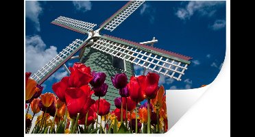 Muurstickers - Sticker Folie - Tulpen voor een molen - 30x20 cm - Plakfolie - Muurstickers Kinderkamer - Zelfklevend Behang - Zelfklevend behangpapier - Stickerfolie