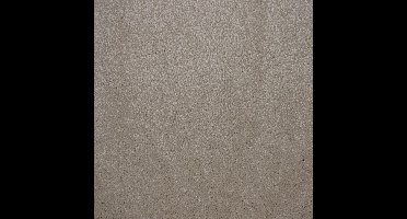 Vloerkleed Xilento Soft Melange | 170 x 230 cm