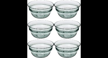 Secret de Gourmet - 6x - Kommetjes/Schaaltjes - kunststof - transparant - 13 cm - groen